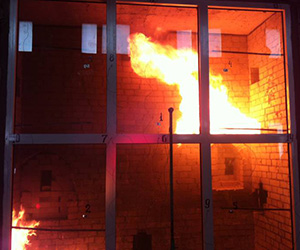 Противопожарные окна Калининец